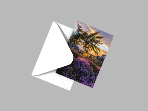 To buy a print or any of the below please click on the images